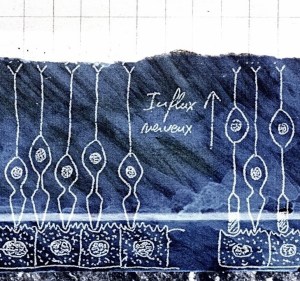 ardoise bleu – Version 2