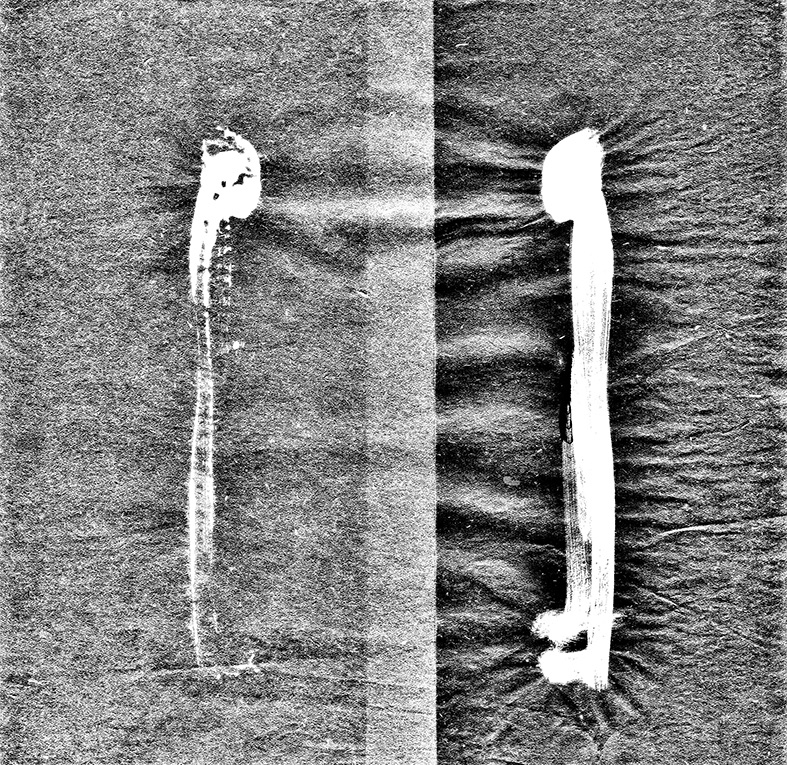 face a face delrieu_gris